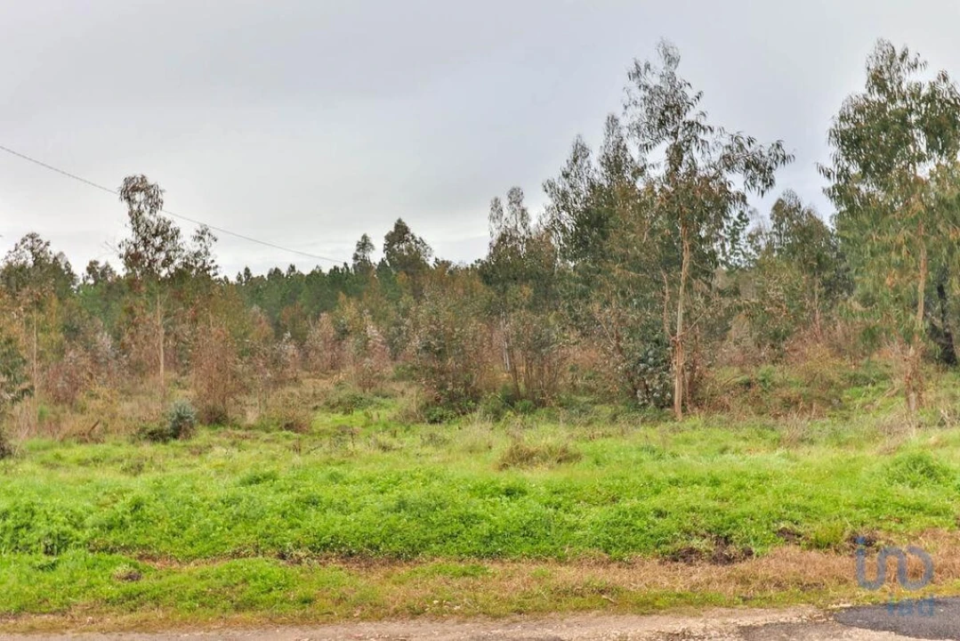 Terreno para Venda em Soure Foto 9