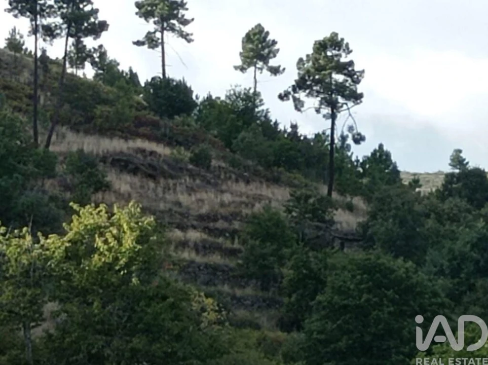 Terreno para Venda em Sendim Foto 11