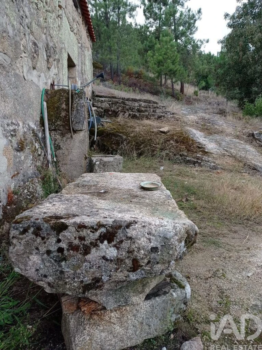 Terreno para Venda em Sendim Foto 4