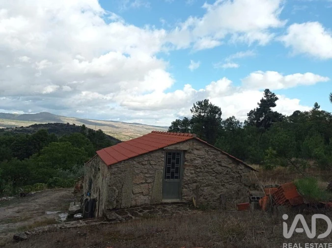 Terreno para Venda em Sendim