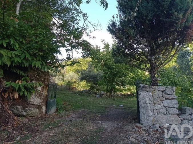 Terreno para Venda em Sendim Foto 13