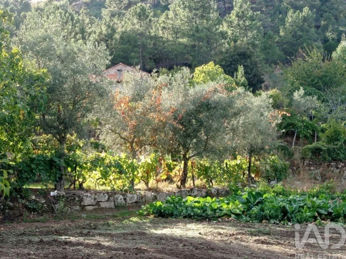 Terreno para Venda em Sendim Foto 10