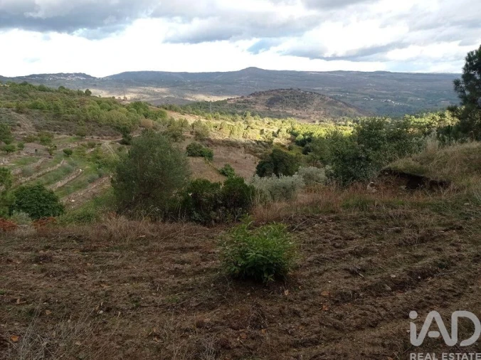 Terreno para Venda em Sendim Foto 8