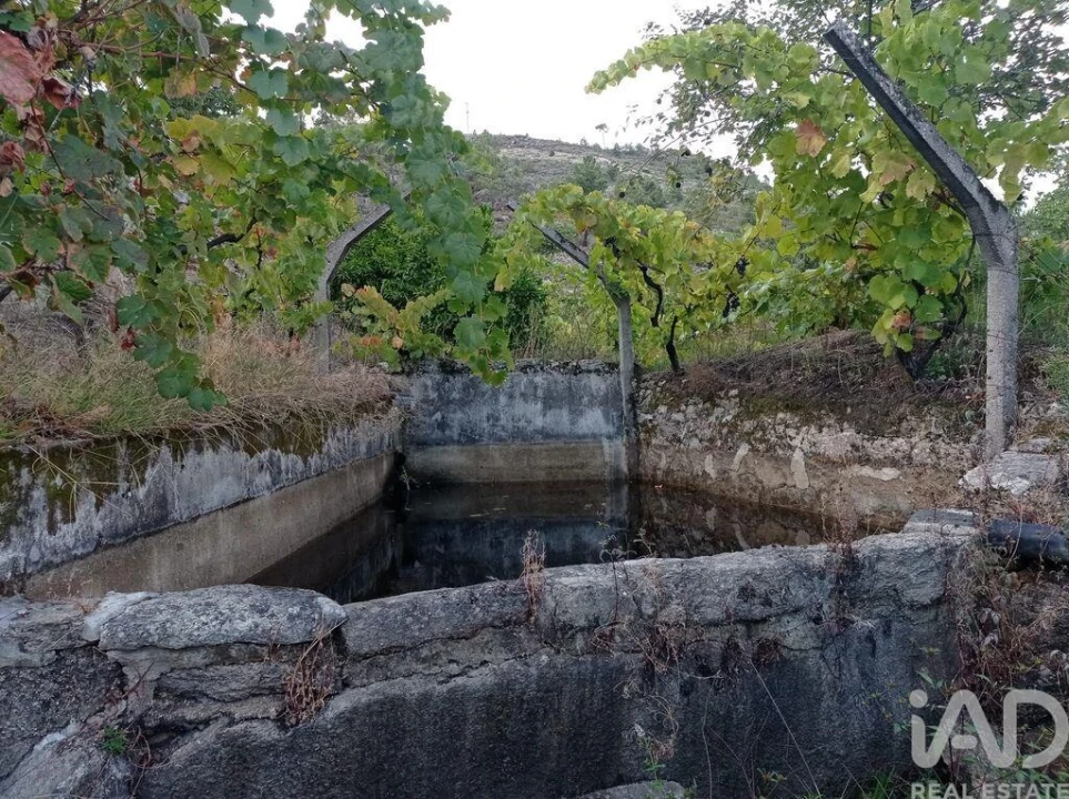 Terreno para Venda em Sendim Foto 6