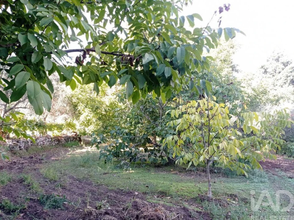 Terreno para Venda em Sendim Foto 7