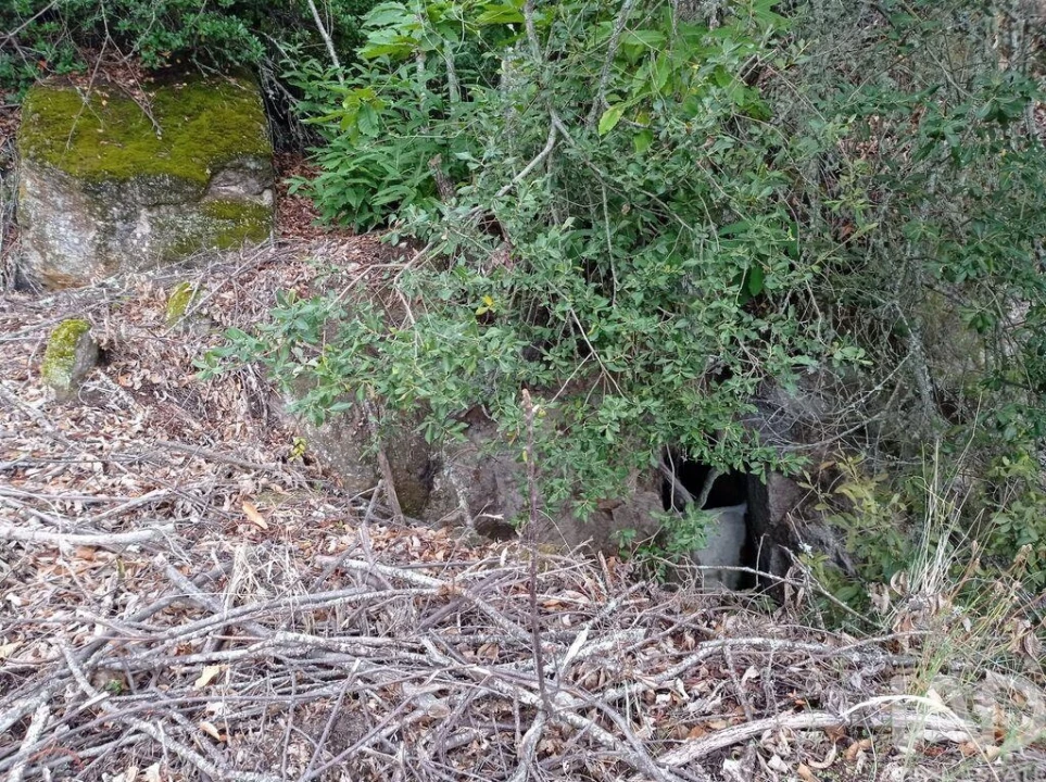 Terreno para Venda em Sendim Foto 12