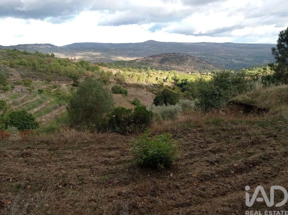 Terreno para Venda em Sendim Foto 8