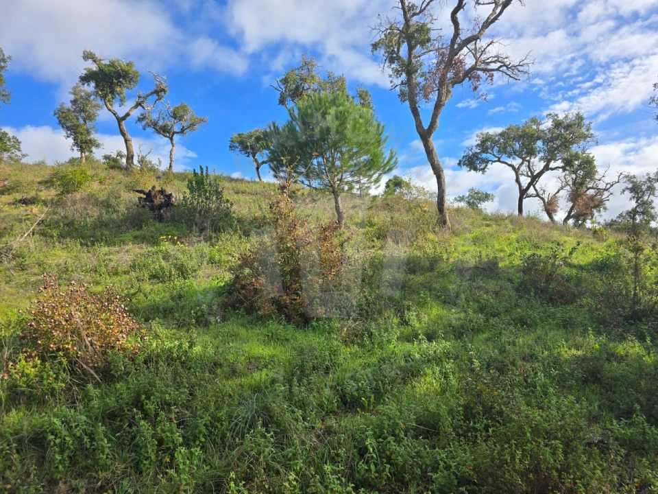 Terreno Agricola ou Rústico para Venda em São Francisco da Serra Foto 2