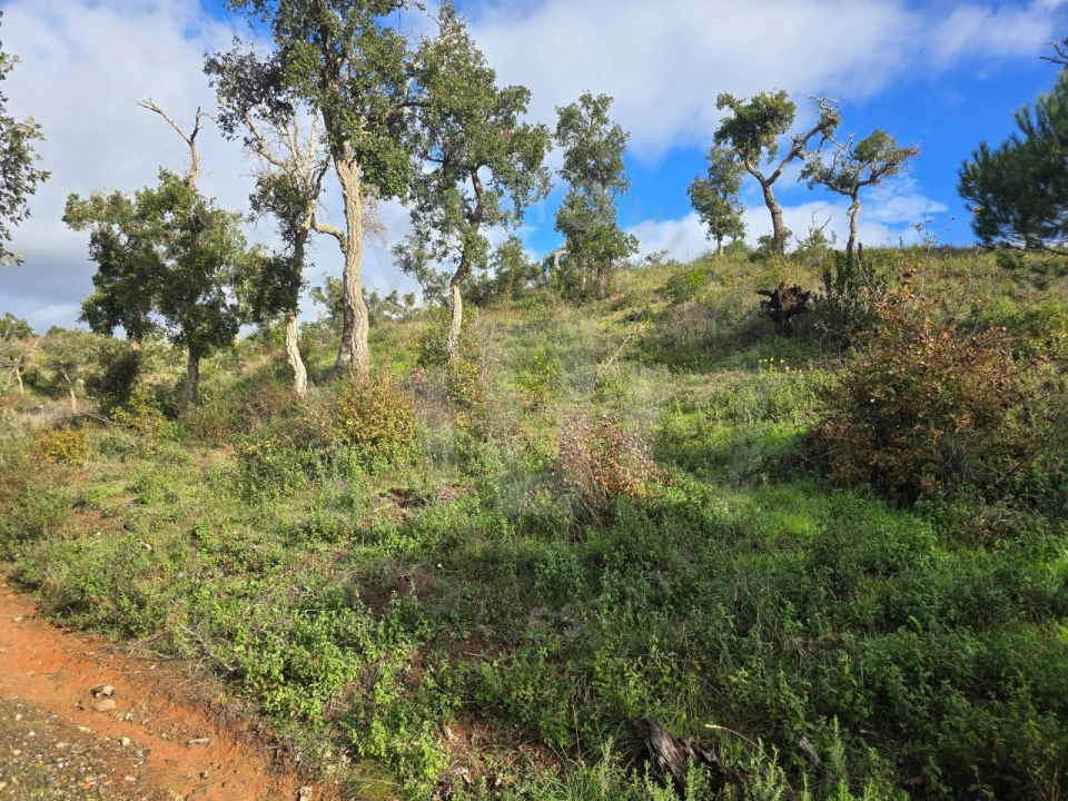 Terreno Agricola ou Rústico para Venda em São Francisco da Serra Foto 5