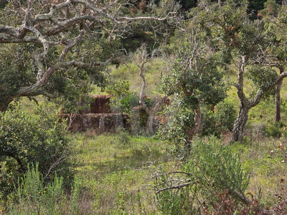 Terreno Agricola ou Rústico para Venda em São Francisco da Serra Foto 7