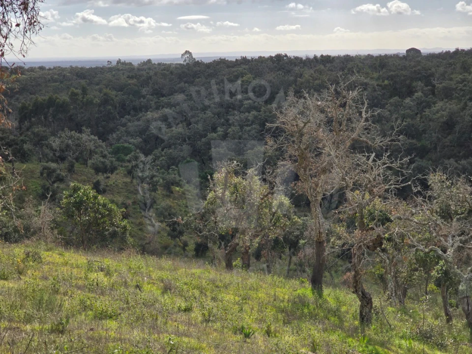 Terreno Agricola ou Rústico para Venda em São Francisco da Serra Foto 10