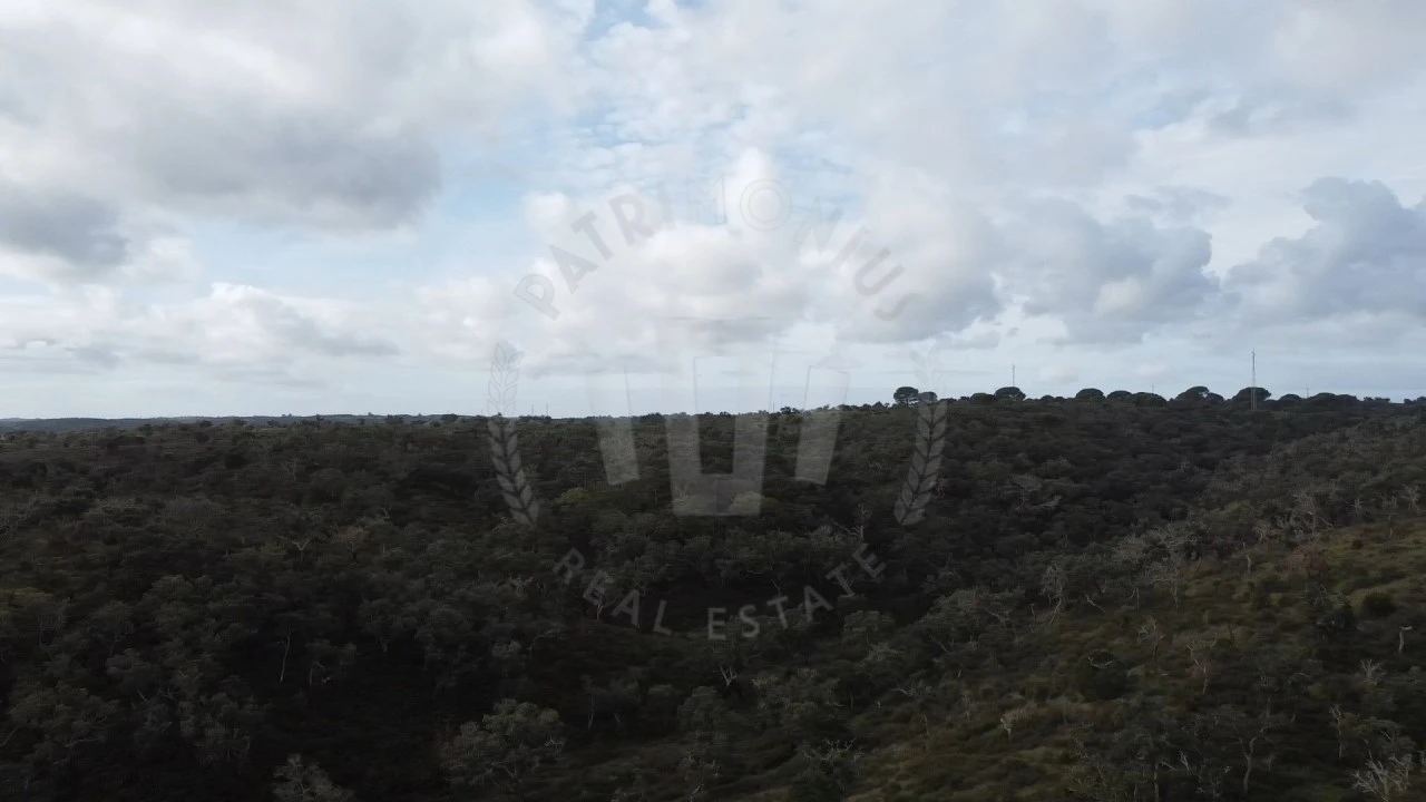 Terreno Agricola ou Rústico para Venda em São Francisco da Serra Foto 13
