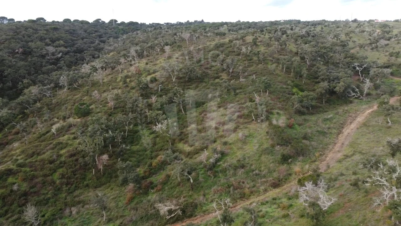 Terreno Agricola ou Rústico para Venda em São Francisco da Serra Foto 15