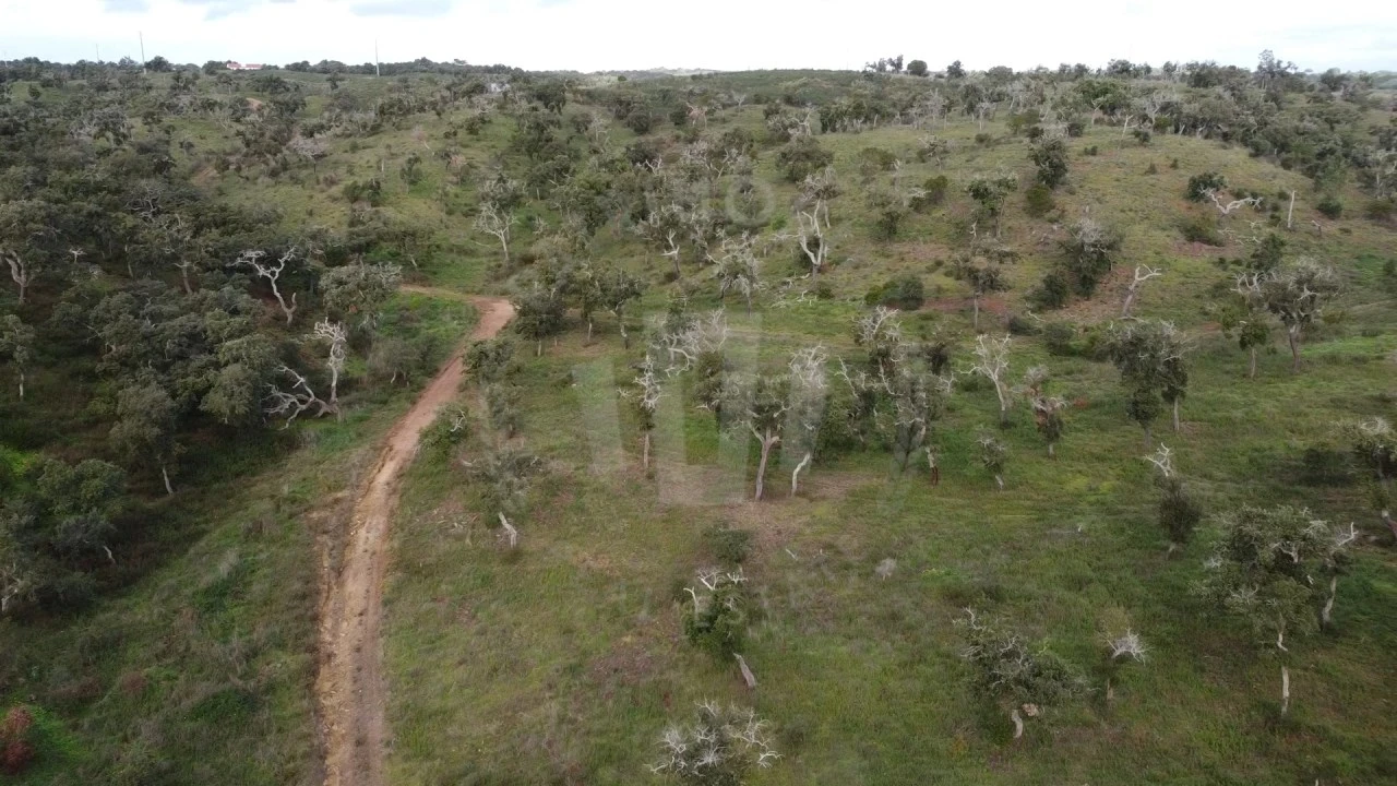 Terreno Agricola ou Rústico para Venda em São Francisco da Serra Foto 17