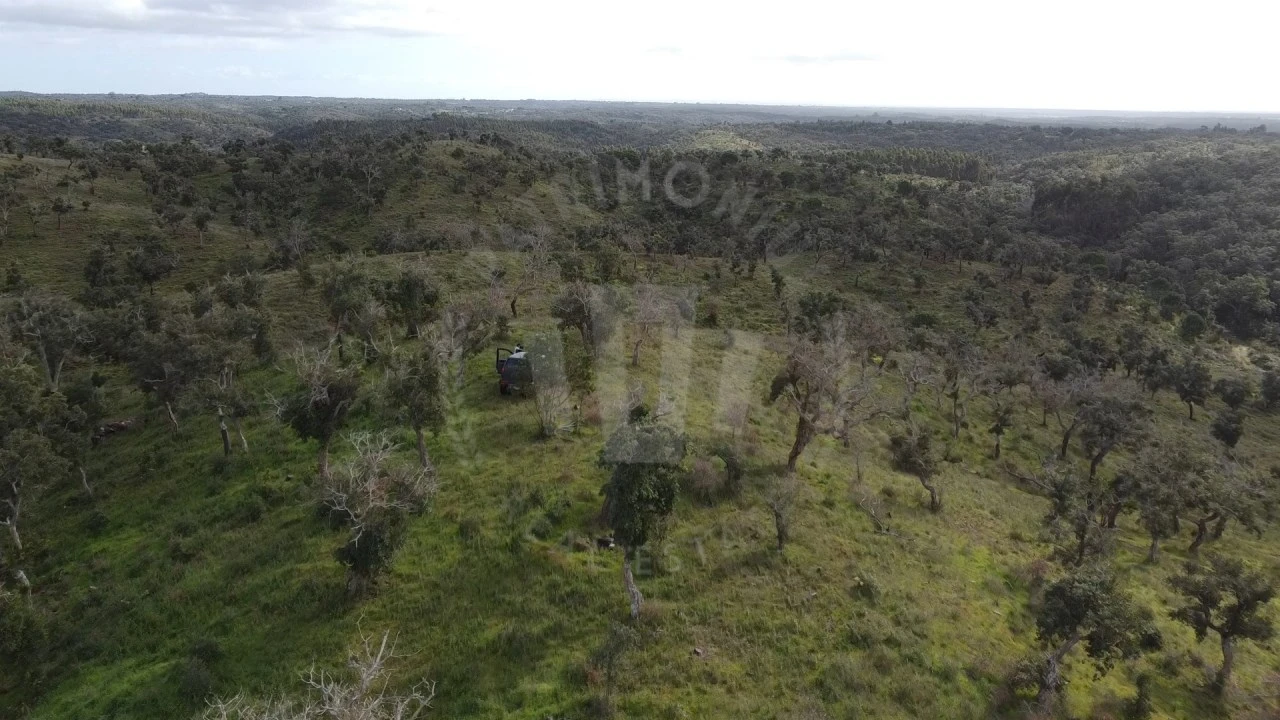 Terreno Agricola ou Rústico para Venda em São Francisco da Serra Foto 21