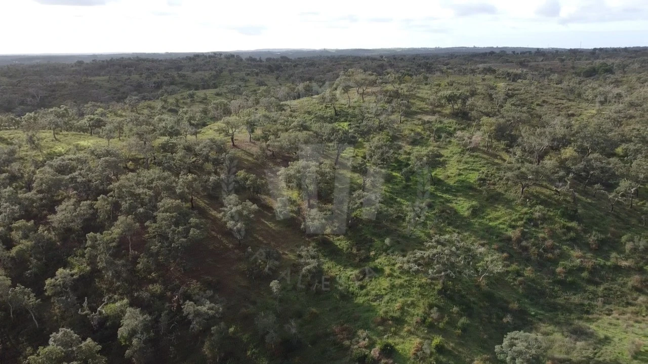 Terreno Agricola ou Rústico para Venda em São Francisco da Serra Foto 24