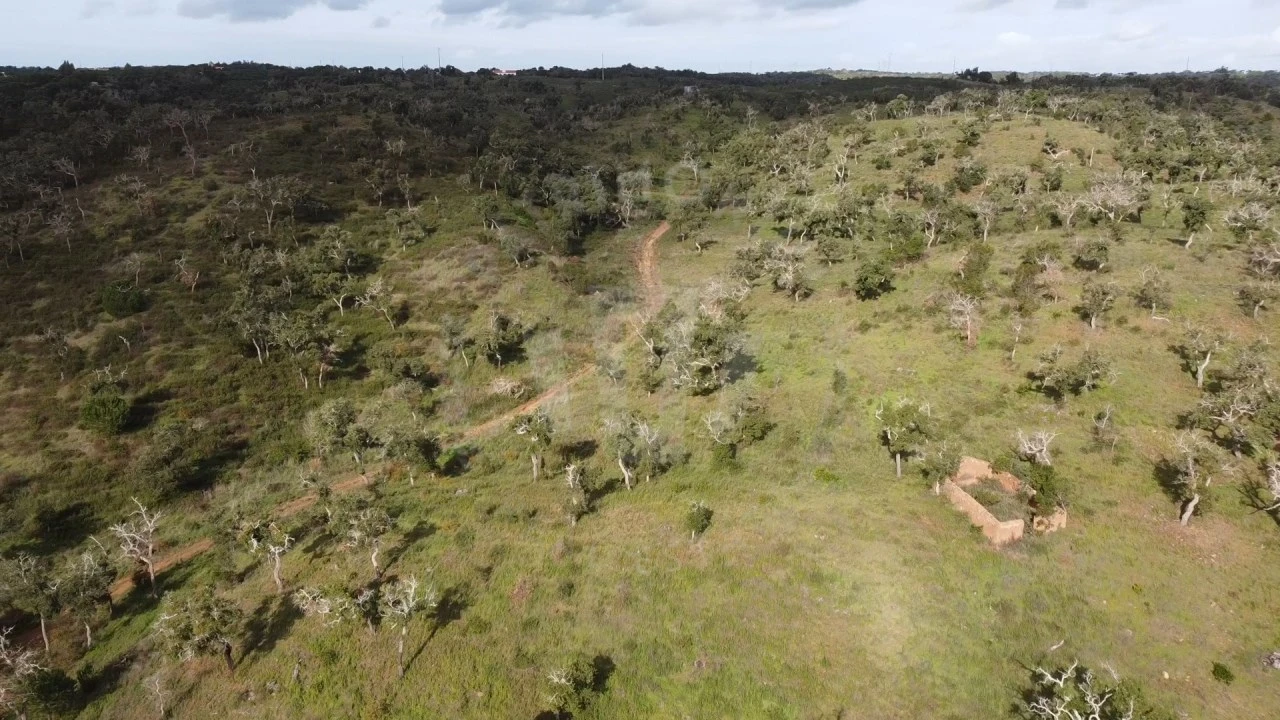 Terreno Agricola ou Rústico para Venda em São Francisco da Serra Foto 27