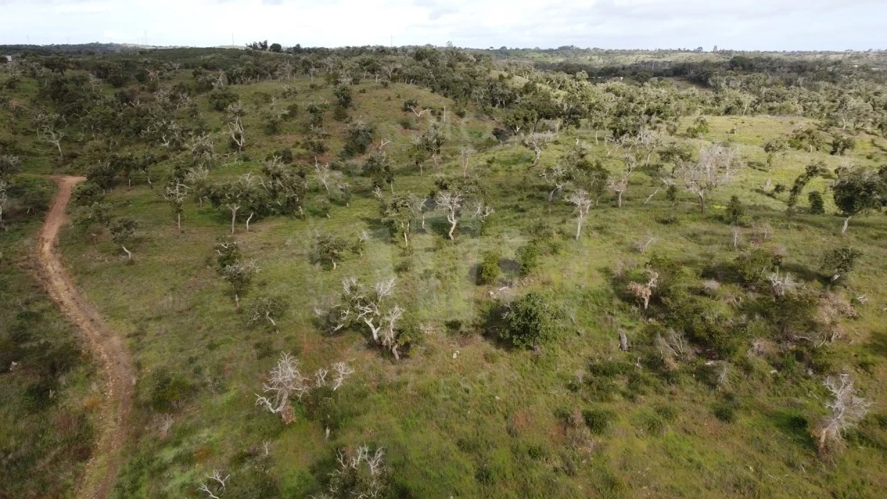 Terreno Agricola ou Rústico para Venda em São Francisco da Serra Foto 28