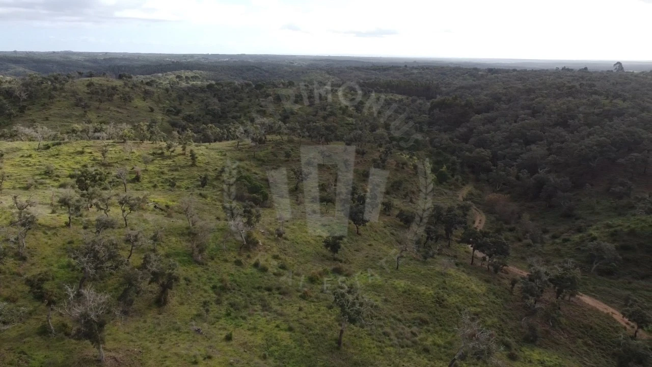 Terreno Agricola ou Rústico para Venda em São Francisco da Serra Foto 29