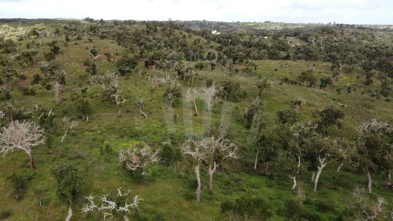 Terreno Agricola ou Rústico para Venda em São Francisco da Serra Foto 30
