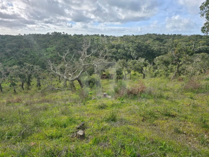 Terreno Agricola ou Rústico para Venda em São Francisco da Serra Foto 6