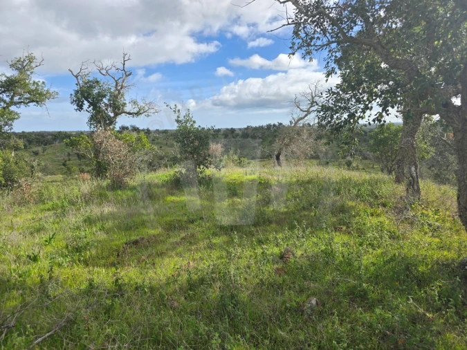 Terreno Agricola ou Rústico para Venda em São Francisco da Serra Foto 9
