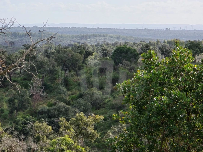 Terreno Agricola ou Rústico para Venda em São Francisco da Serra Foto 11