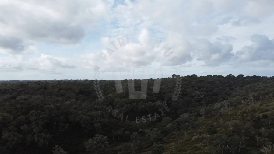 Terreno Agricola ou Rústico para Venda em São Francisco da Serra Foto 13