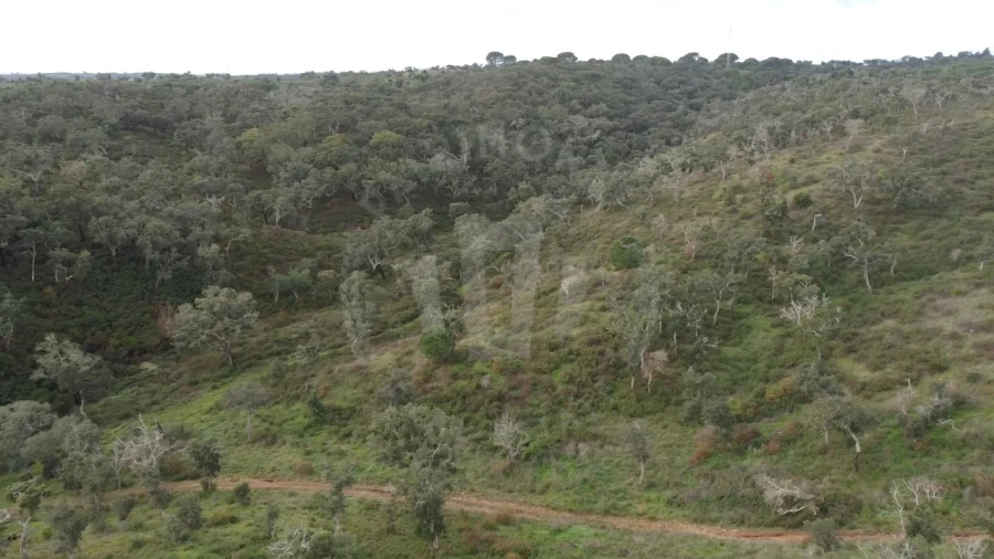 Terreno Agricola ou Rústico para Venda em São Francisco da Serra Foto 14