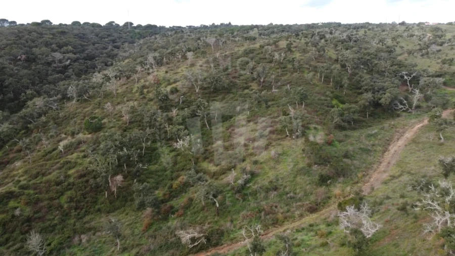 Terreno Agricola ou Rústico para Venda em São Francisco da Serra Foto 15