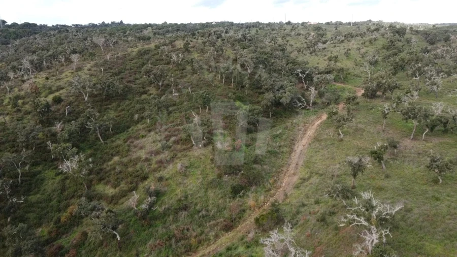 Terreno Agricola ou Rústico para Venda em São Francisco da Serra Foto 16