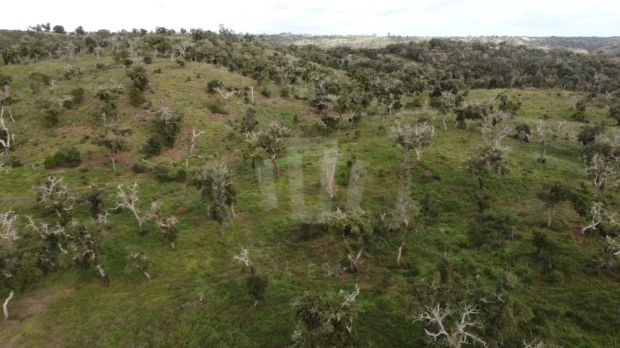 Terreno Agricola ou Rústico para Venda em São Francisco da Serra Foto 18