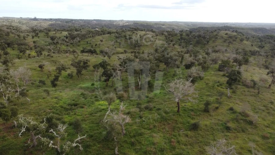 Terreno Agricola ou Rústico para Venda em São Francisco da Serra Foto 19
