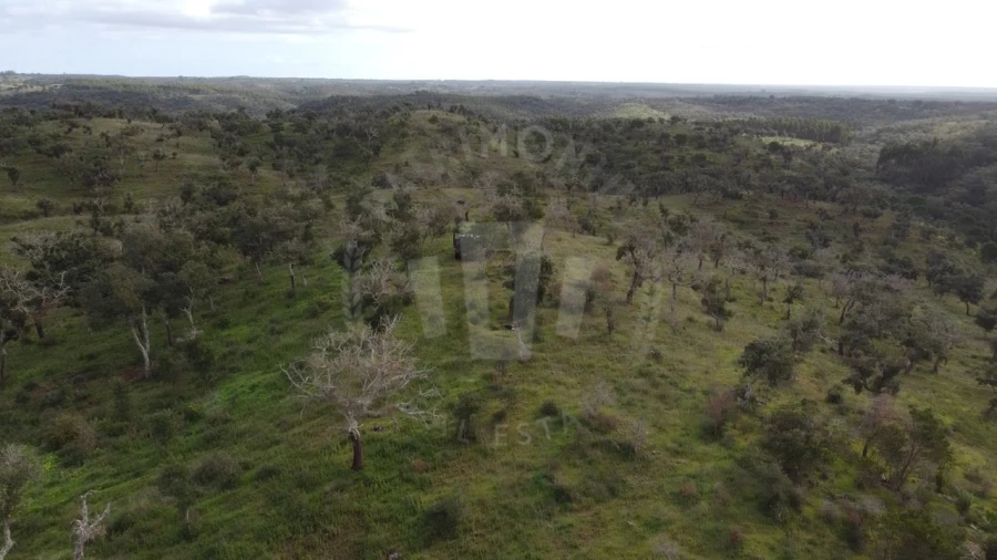 Terreno Agricola ou Rústico para Venda em São Francisco da Serra Foto 20