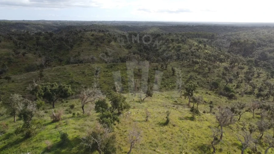Terreno Agricola ou Rústico para Venda em São Francisco da Serra Foto 22