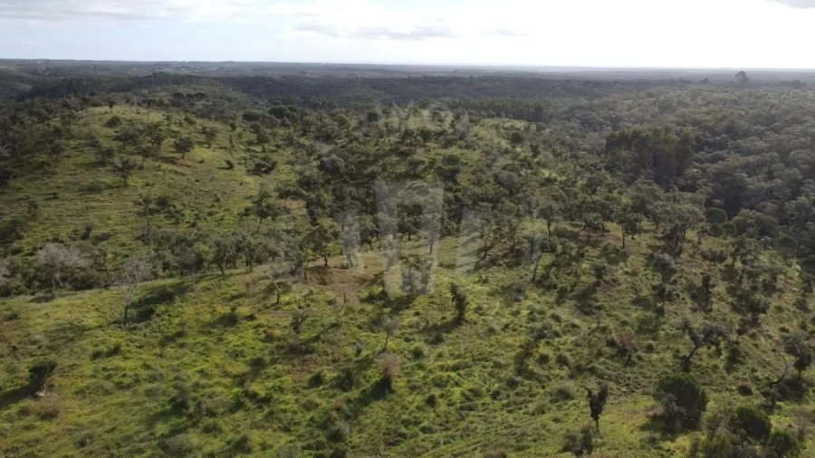Terreno Agricola ou Rústico para Venda em São Francisco da Serra Foto 23