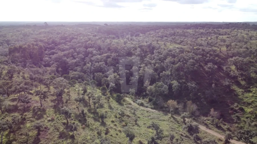 Terreno Agricola ou Rústico para Venda em São Francisco da Serra