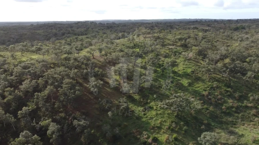 Terreno Agricola ou Rústico para Venda em São Francisco da Serra Foto 24