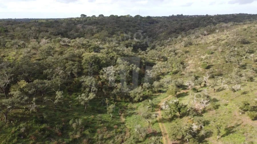 Terreno Agricola ou Rústico para Venda em São Francisco da Serra Foto 25