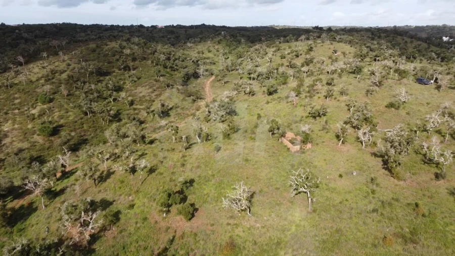 Terreno Agricola ou Rústico para Venda em São Francisco da Serra Foto 26