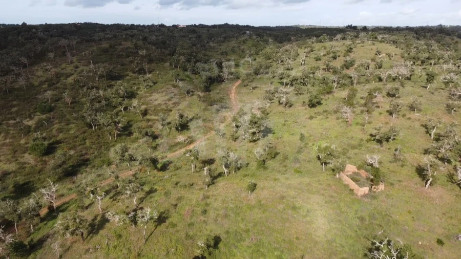 Terreno Agricola ou Rústico para Venda em São Francisco da Serra Foto 27