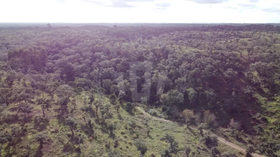 Terreno Agricola ou Rústico para Venda em São Francisco da Serra
