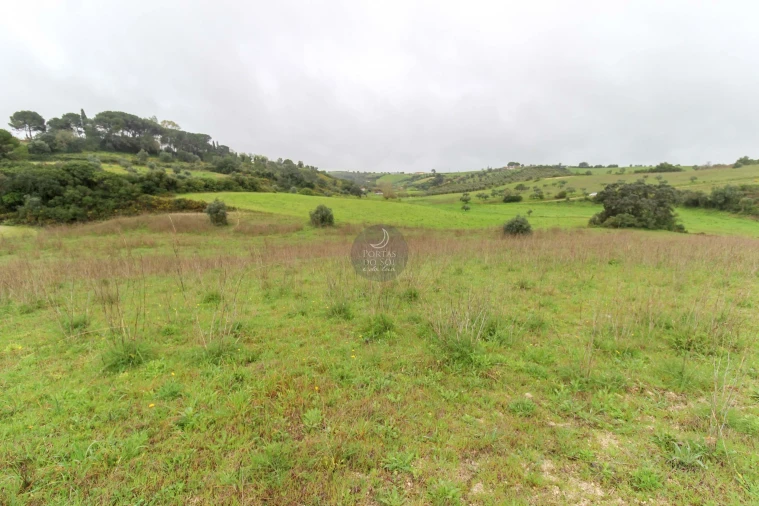 Terreno Agricola ou Rústico para Venda em Abitureiras Foto 6