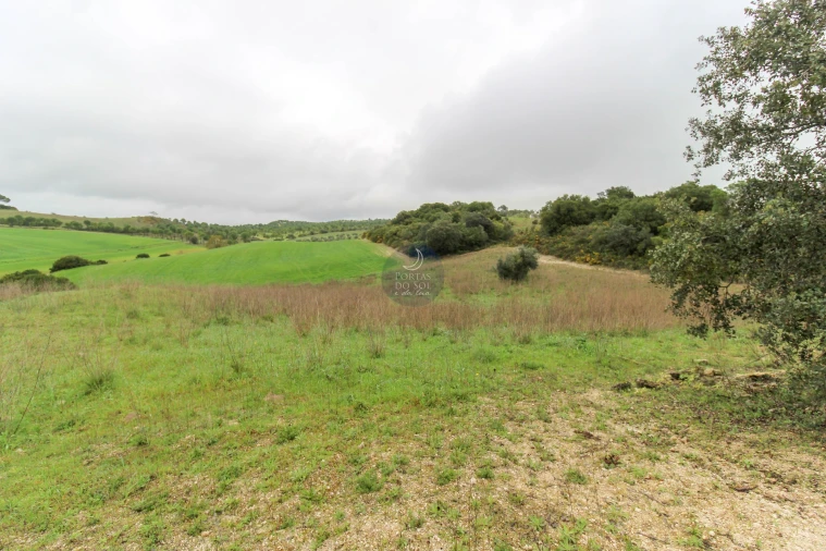 Terreno Agricola ou Rústico para Venda em Abitureiras Foto 2