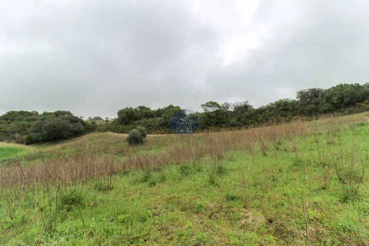 Terreno Agricola ou Rústico para Venda em Abitureiras Foto 4