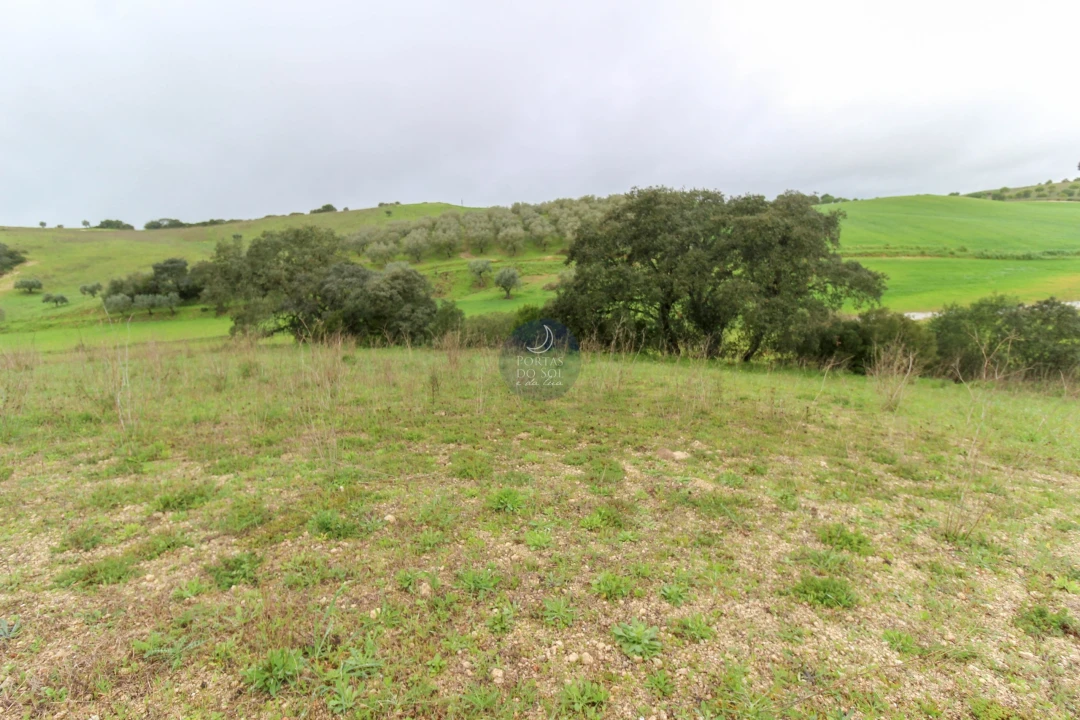 Terreno Agricola ou Rústico para Venda em Abitureiras Foto 3