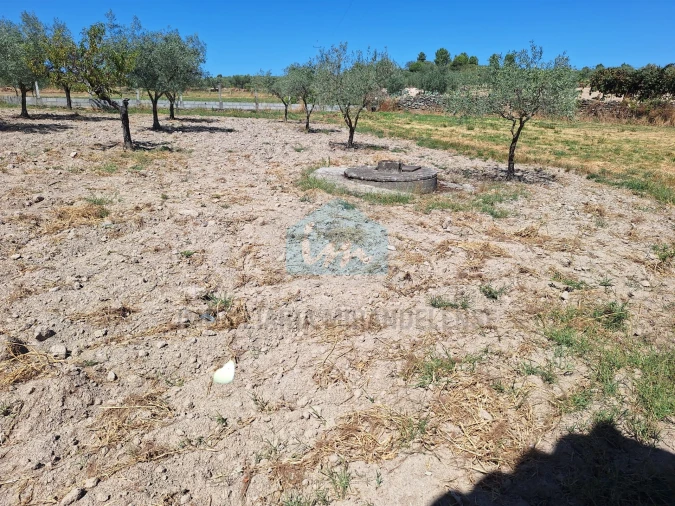 Moradia T4 para Venda em Aguieiras Foto 33