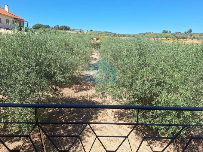 Moradia T4 para Venda em Aguieiras Foto 2