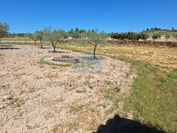 Moradia T4 para Venda em Aguieiras Foto 32