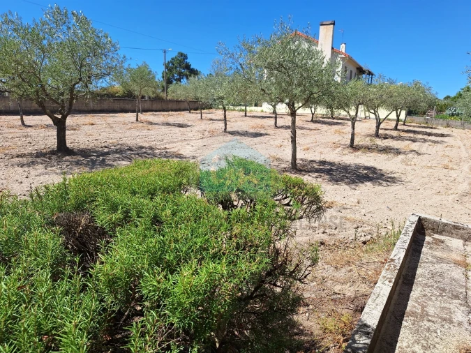 Moradia T4 para Venda em Aguieiras Foto 3